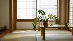 ザミオクルカスが育たない？葉が落ちる5つの原因